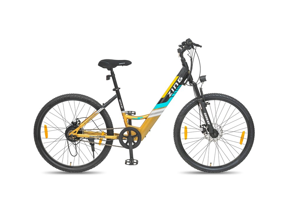 Geekay Eco Bike Zing