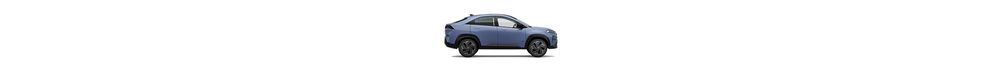 Tata Curvv.ev